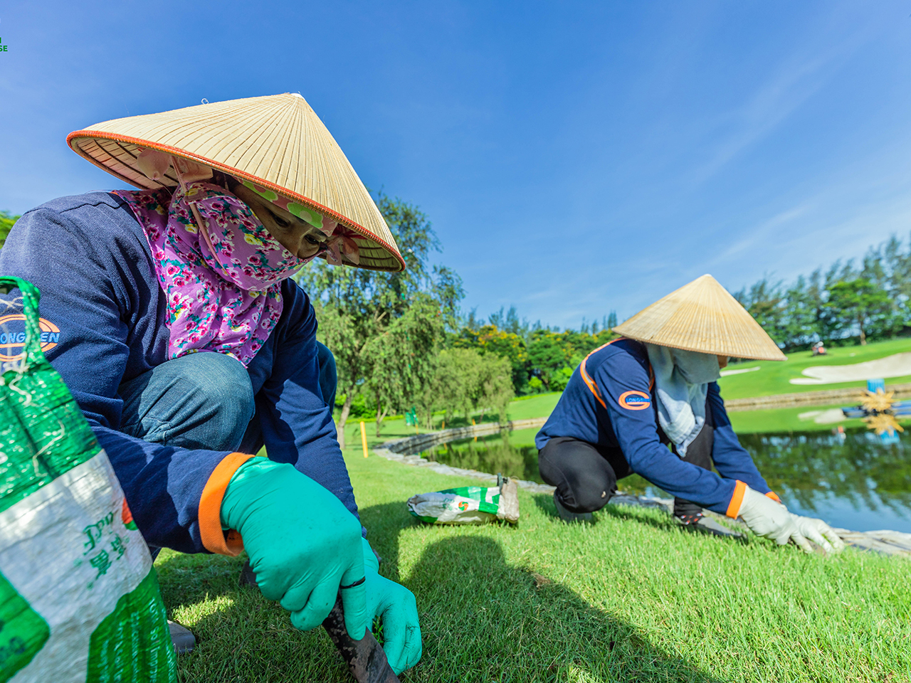 Nhổ cây dại